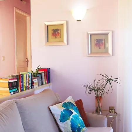 Belvedere Rosa Tsoukaládhes