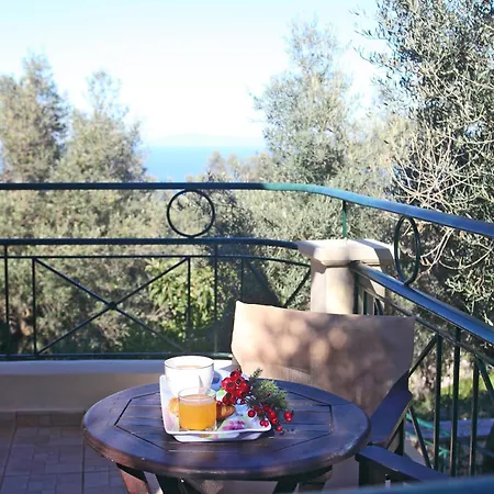 Belvedere Rosa Tsoukaládhes